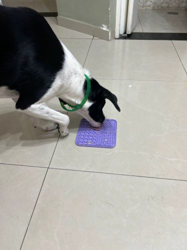 Licki Mat Pro photo review